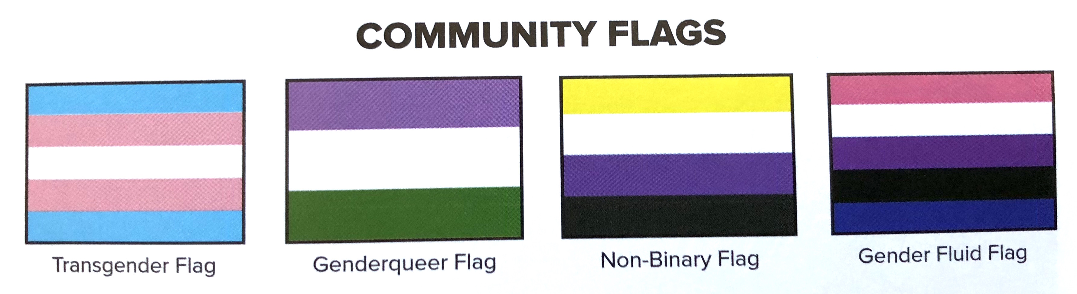 TransAmerica community flags