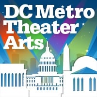 DC METRO logo work3