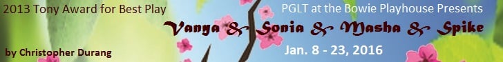 Vanya 728 x 90 pixel banner