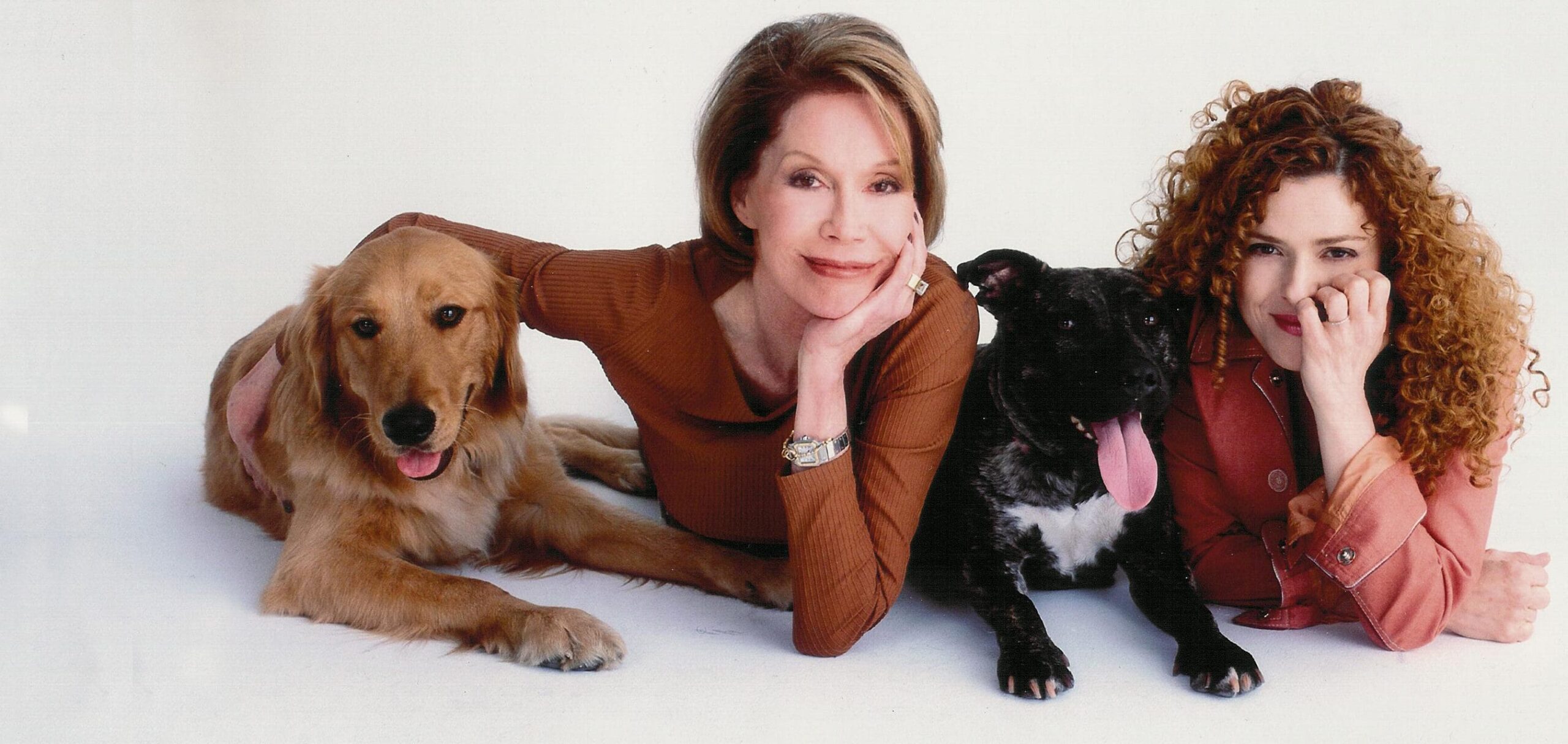 Free Events in NYC This Week: ‘Broadway in Bryant Park’ and ‘Broadway Barks’