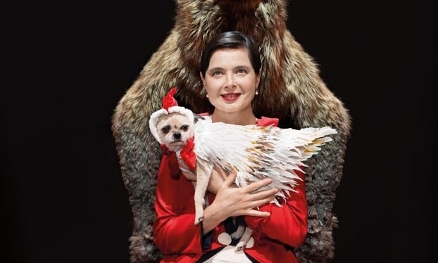 Review: ‘Link Link Circus’ at the Frederick Loewe Theatre at Hunter College