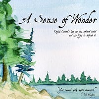 ‘A Sense of Wonder’ at George Mason University