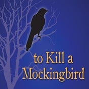 Review: ‘To Kill a Mockingbird’ at The Media Theatre in Media, PA