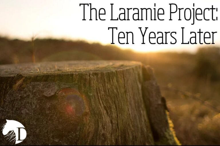Dark Horse Theatre Company, theatreWashington’s newest member, kicks off 2020 with ‘The Laramie Project: Ten Years Later’