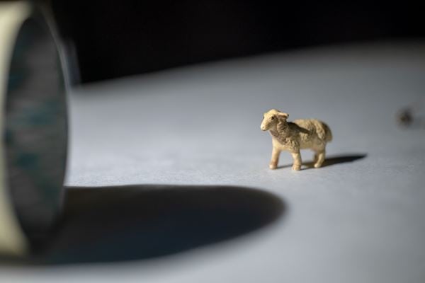 A meditative mix of object theater, cinema, and music in ‘SHEEP #1’ at NYC’s Japan Society